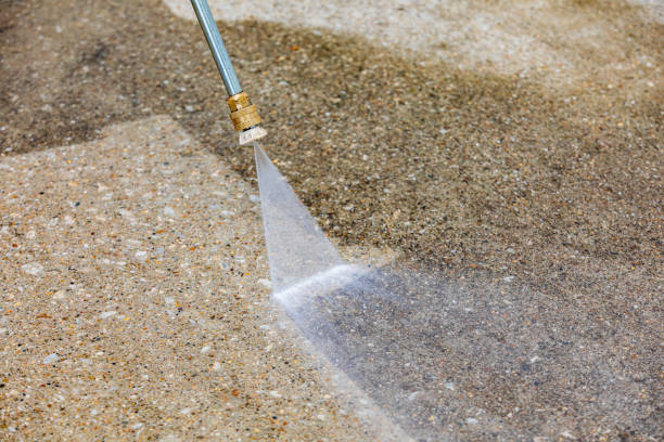 Best Animal Enclosure Cleaning  in Montgomery, WV
