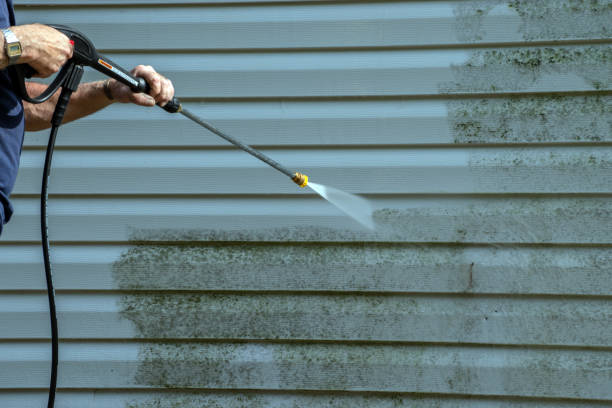 Best Roof Washing  in Montgomery, WV