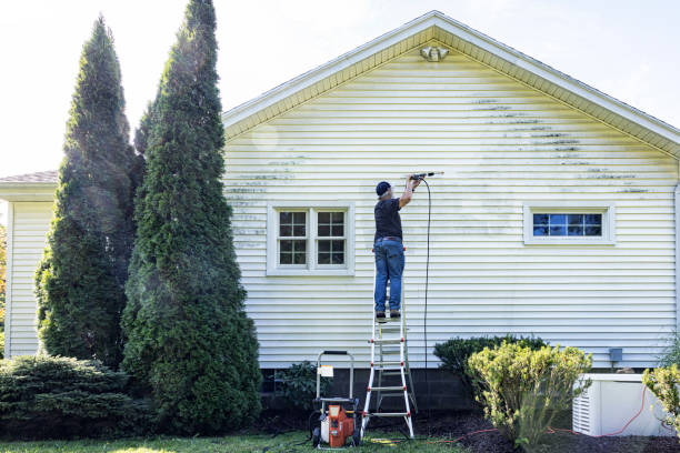 Best Spring Cleaning  in Montgomery, WV