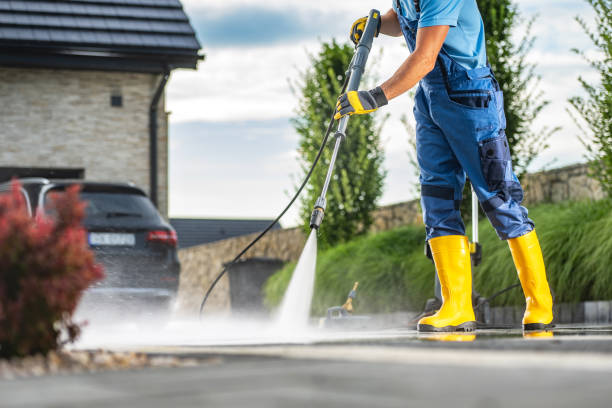 Best Roof Washing  in Montgomery, WV